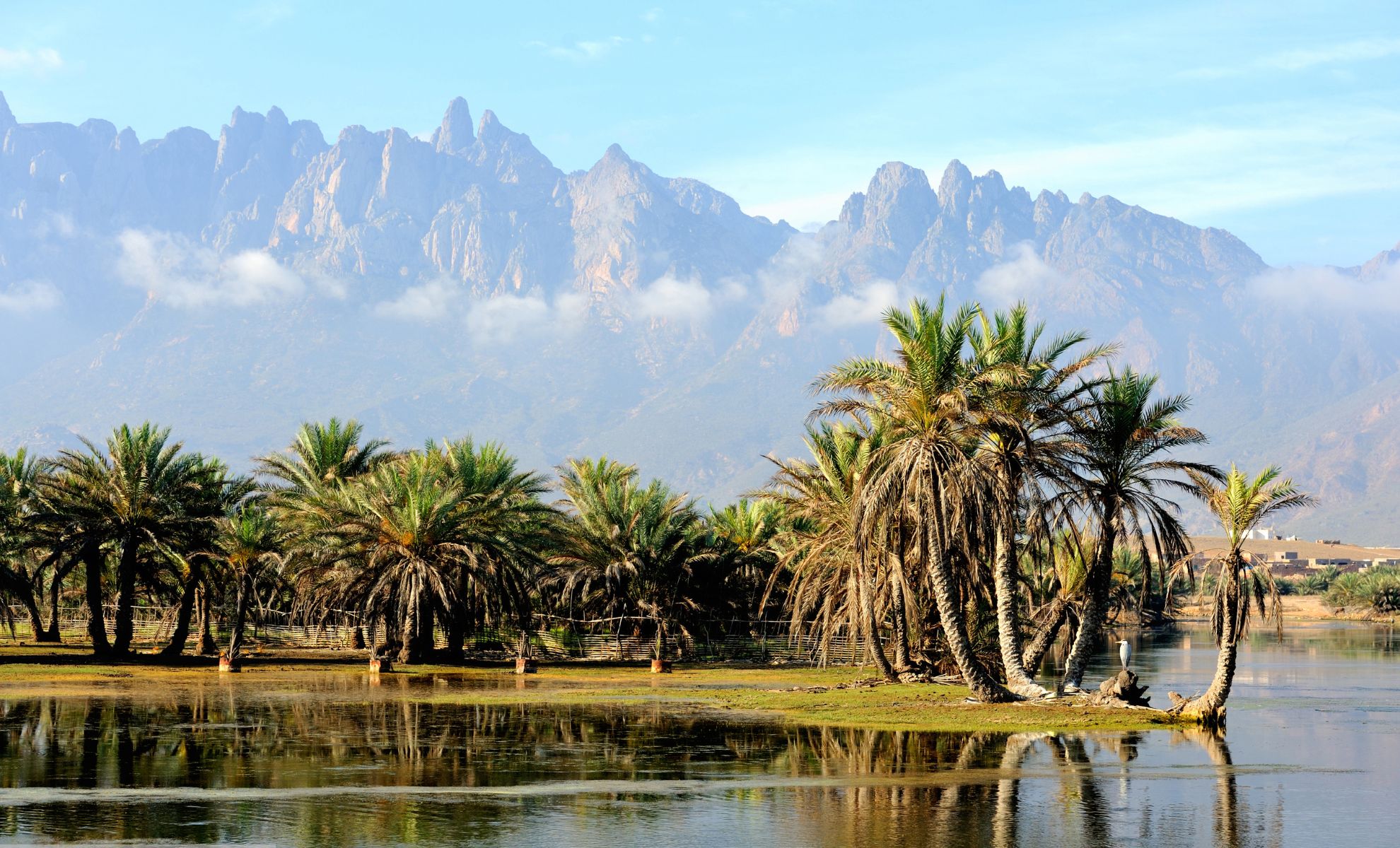 L’île de Socotra